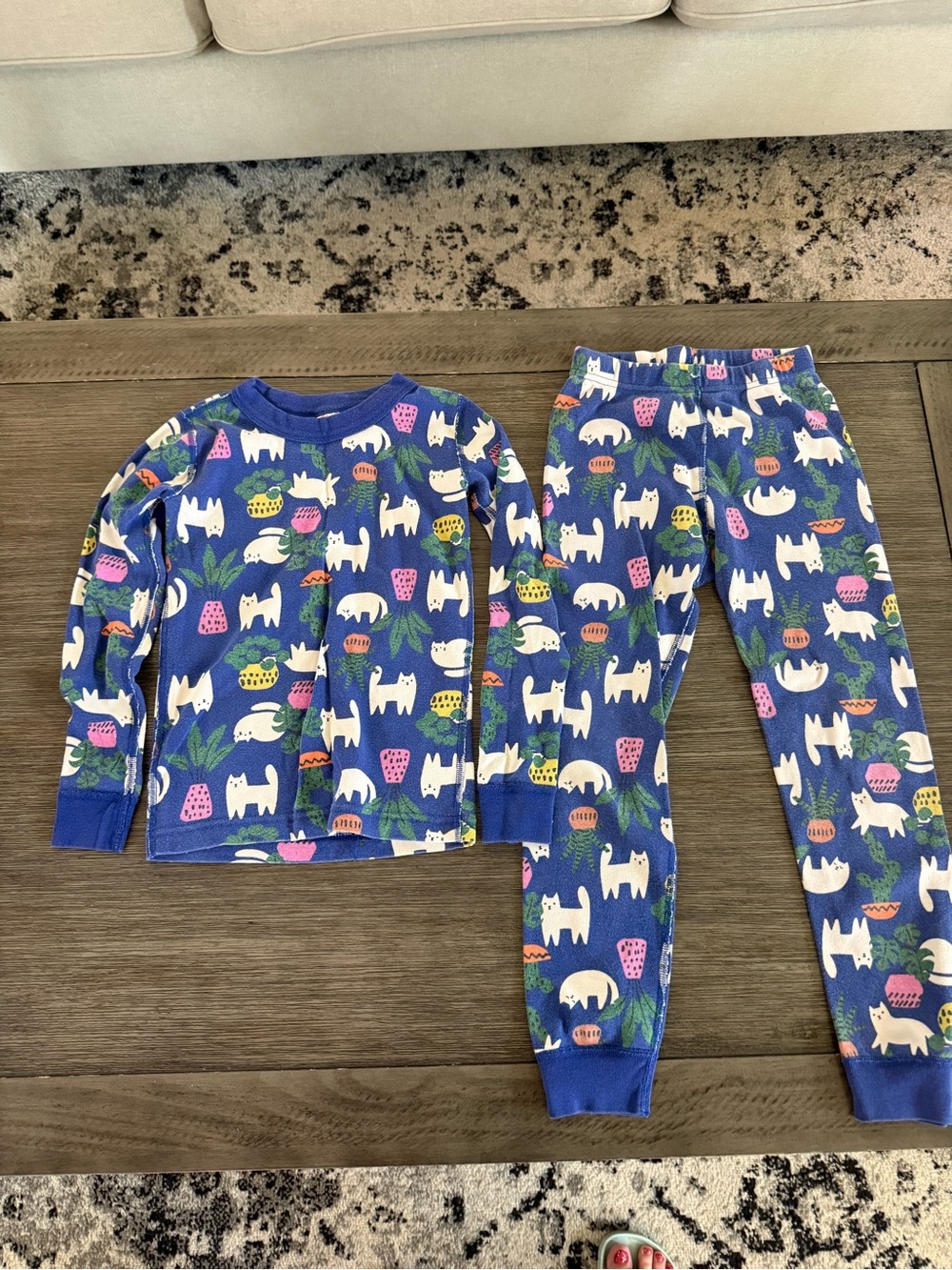 Hanna Andersson Blue Cat & Plant Print Pajama Set